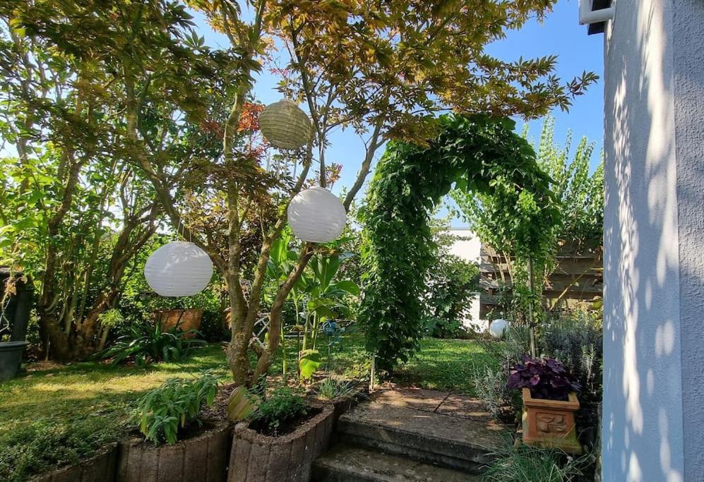 Apartamento Ulli'S Oase Uettingen Exterior foto